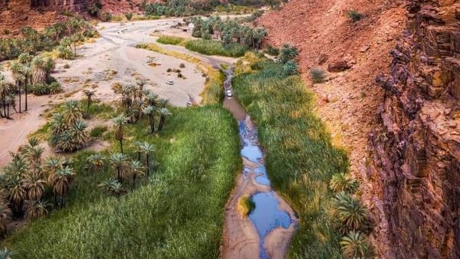 Wadi Disah is a mountainous region and one of the most beautiful natural landscapes in Saudi Arabia. The valley provides a secluded escape from the hustle and bustle of city life for those wanting to experience nature in its pure form