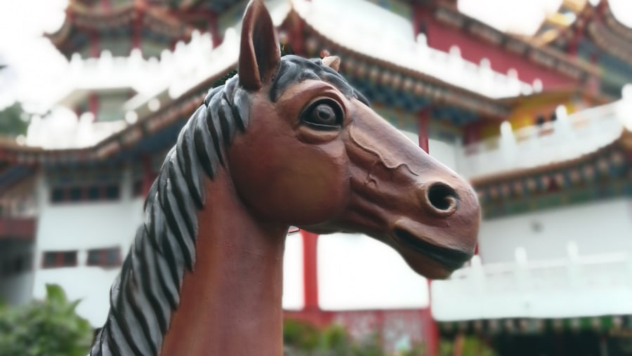 Horse, one of the zodiac animal in Chinese horoscope