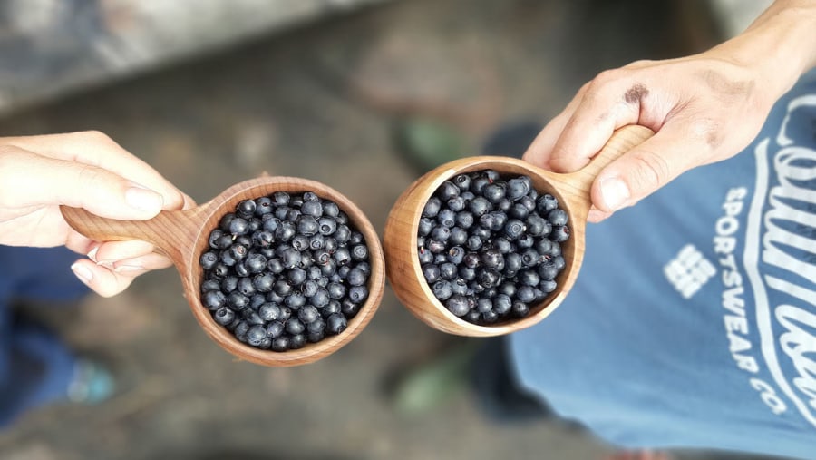 Berry picking