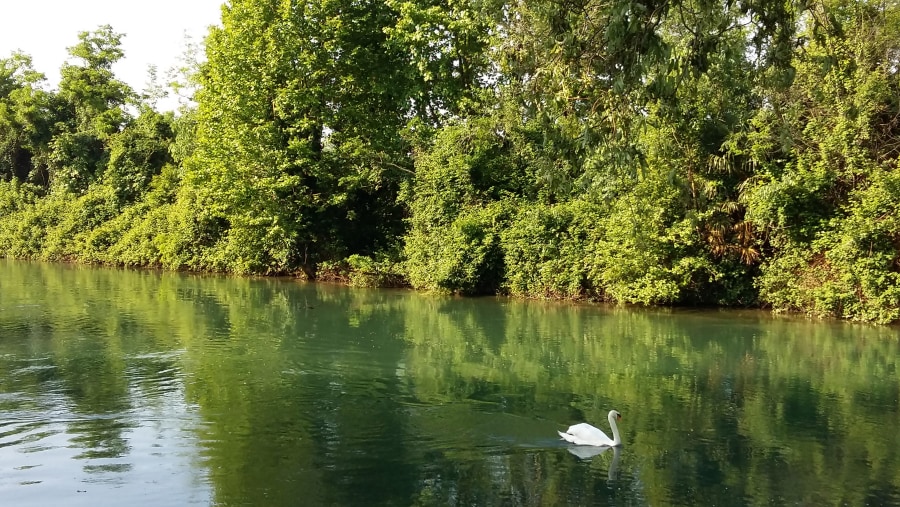 Cycling along the Sile River