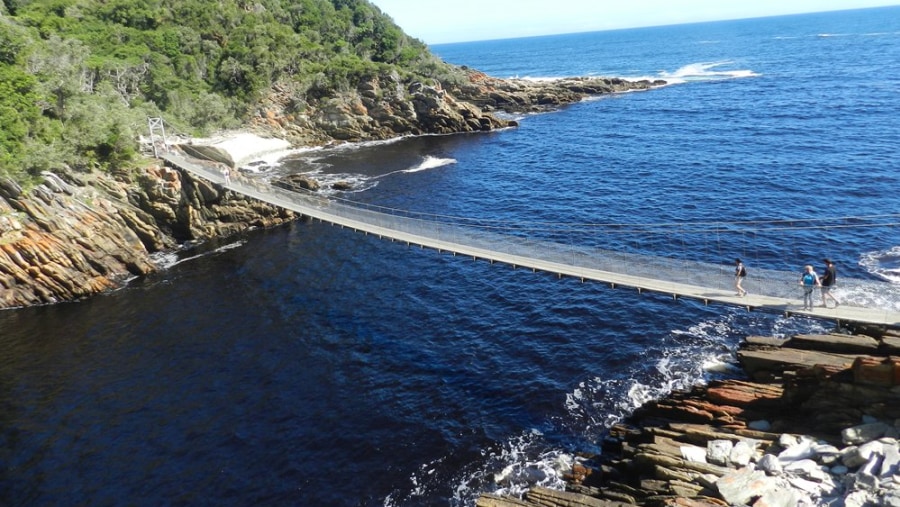 Alan Tours, Garden Route, Tsistiskamma National Park suspension bridge