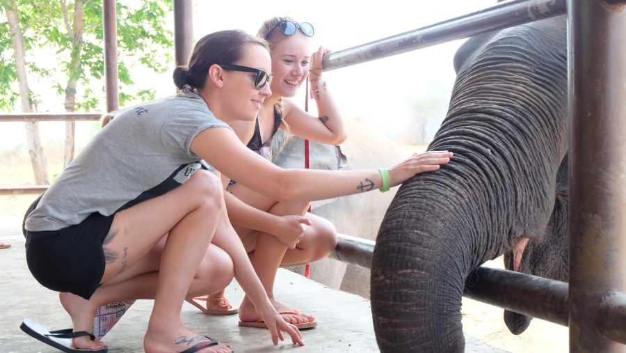 Elephant Sanctuary