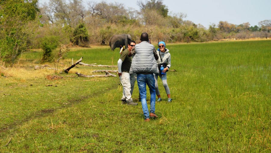 Okavango Delta-Safari walk