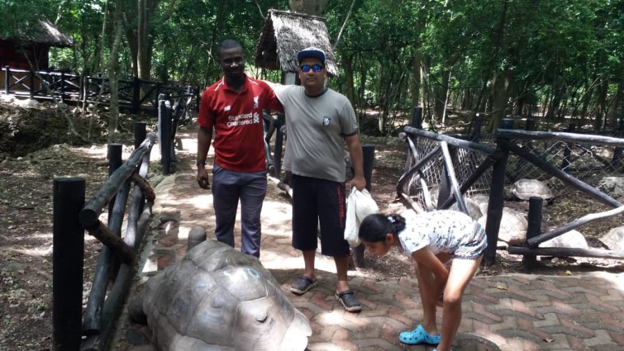 At Prison Island with my client and her daughter keep attention to Tortoise