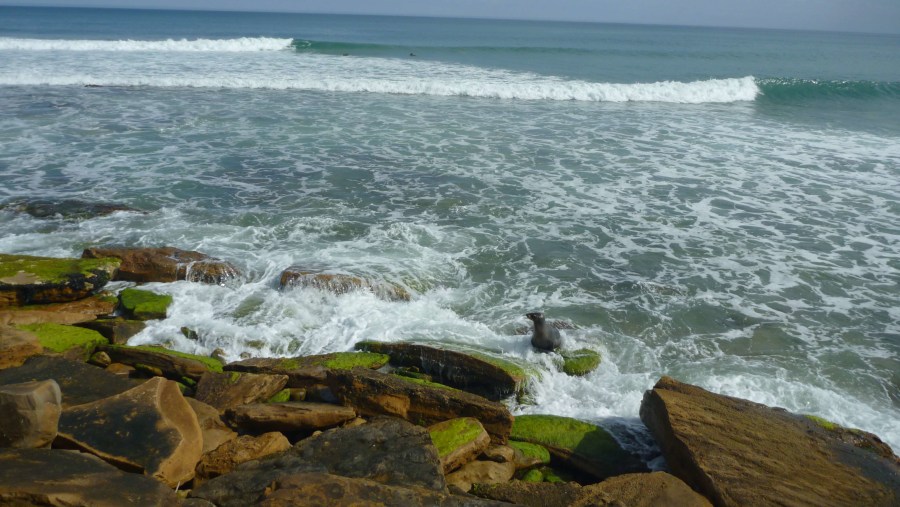 red bluff/surf break