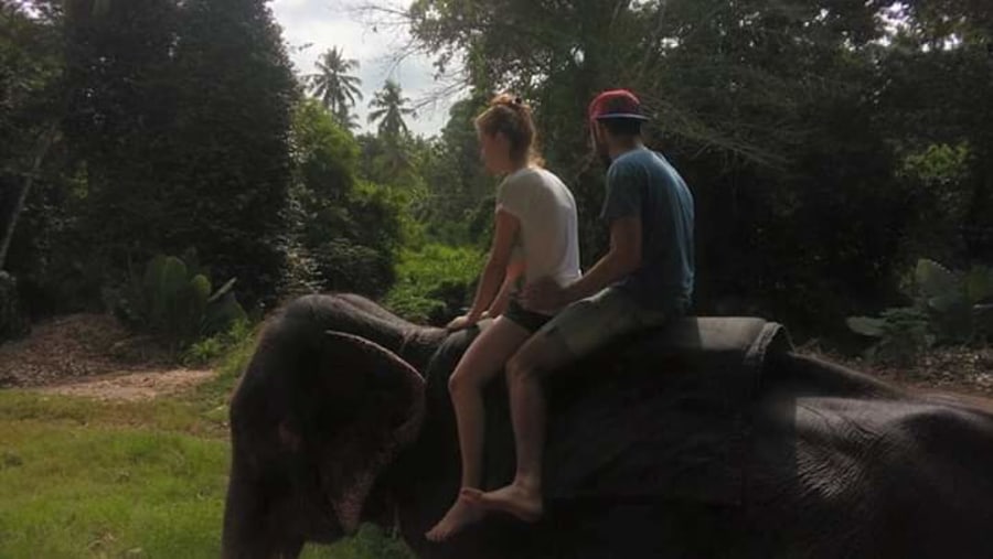 elephant riding 
