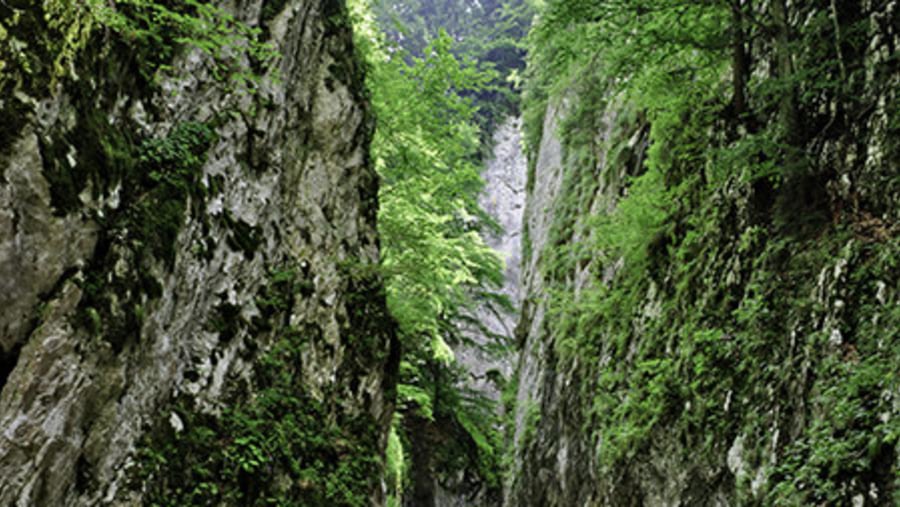 Zarnesti Gorges - Tours in Brasov