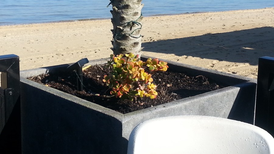 Enjoy lunch on the beach at the Sandbar Cafe