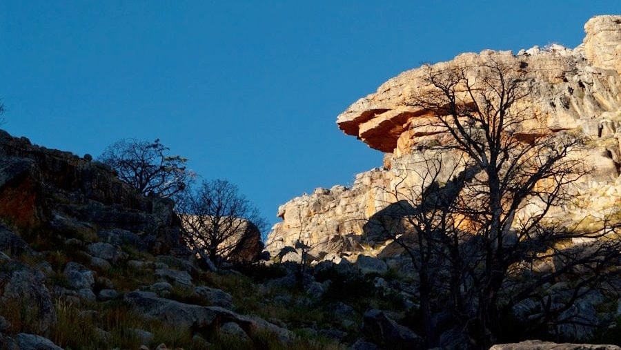 cederberg vision quest