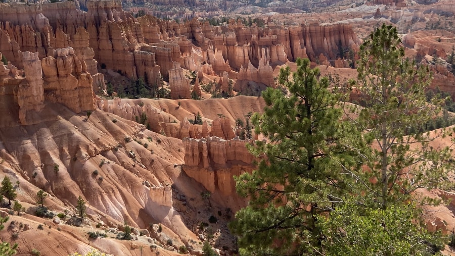 Bryce Canyon NP