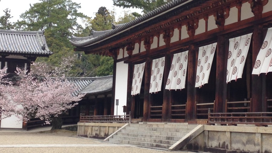 Old Temple with the cherry blossoms