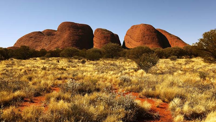 Kata Juta