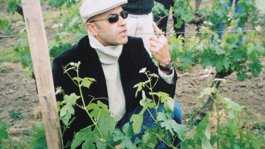 in the wineyards