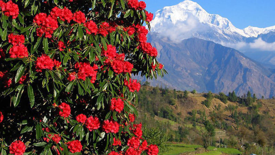 Naturally Nepal