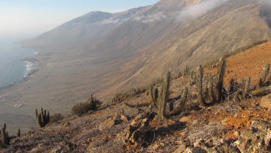 Desierto de la costa