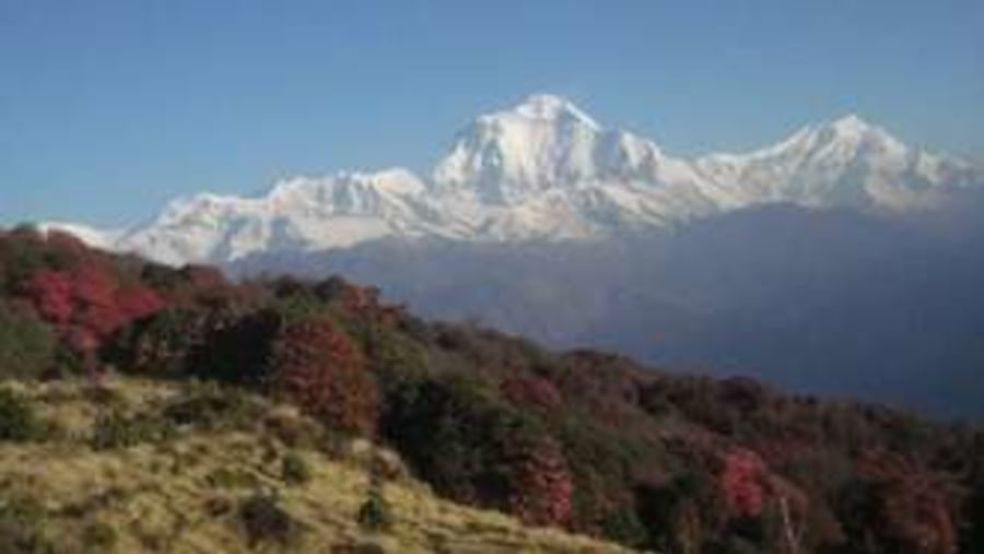 Trekking in Nepal 