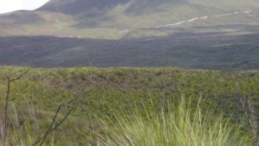 MUgi Hill as viewed on the Mt. Kenya Chogoria Route 