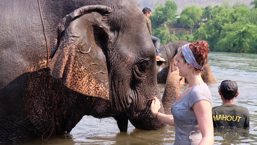 Elephant bathing