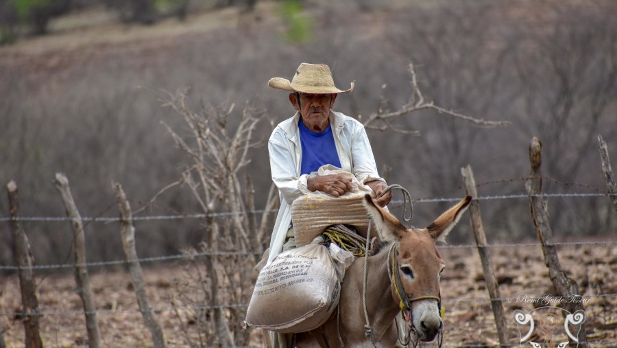 Lovely older working. Somewhere in the mountains between Guerrero and Michoacan States