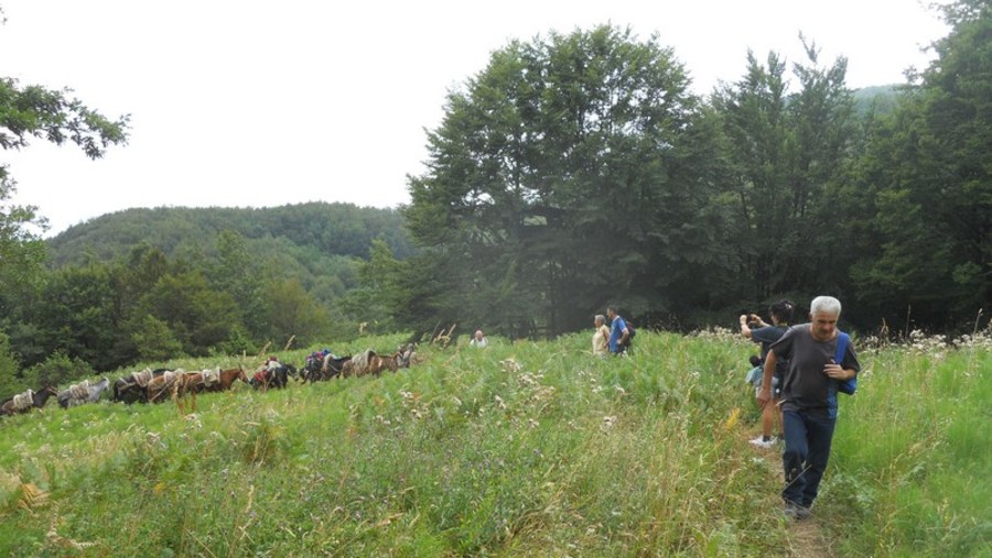 La via dei Parchi - Mule Trek