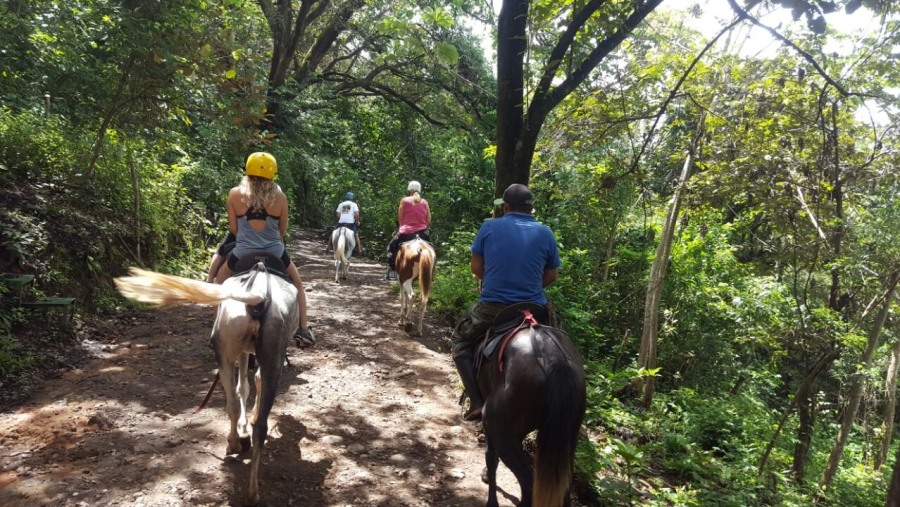 Horseback riding