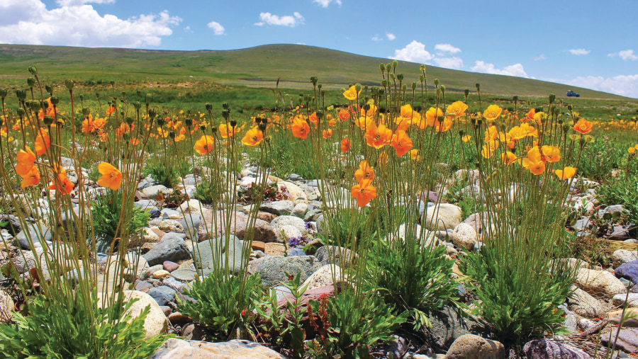 Deosai