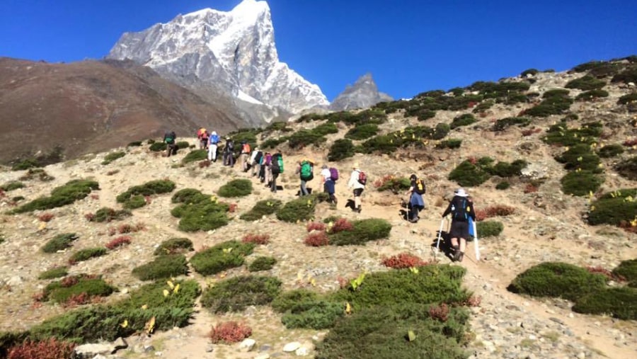 i highly recommend Ganesh Himal Hiking Team 