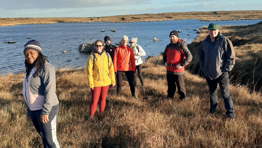 Foraging in Bog, Connemara