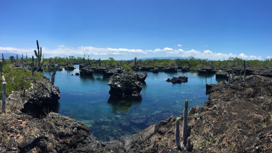 Lava Tunnels