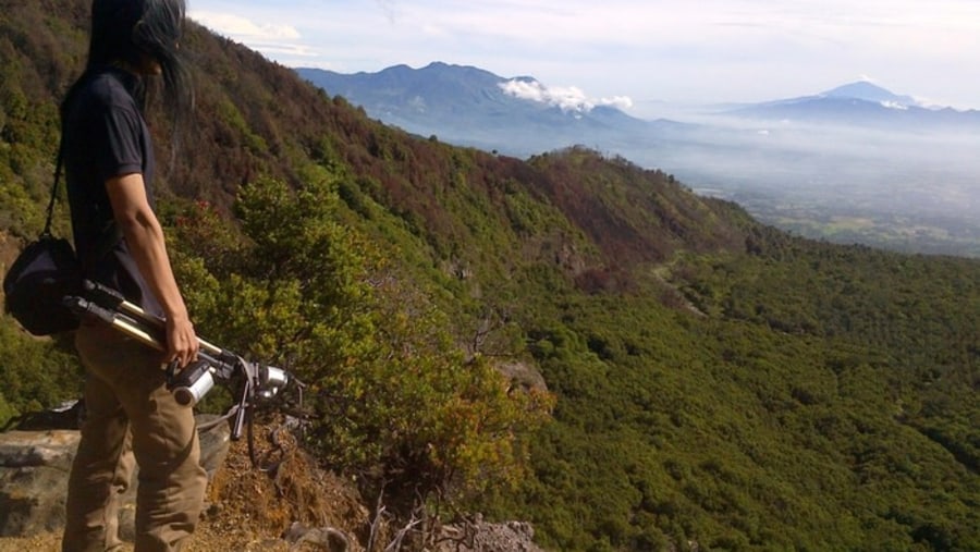 mount papandayan