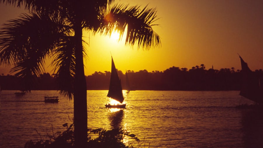 Sunset Felucca Sailing