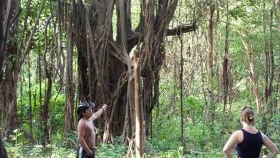 Teaching and chowing our visitors what we have in the Amazon jungle...