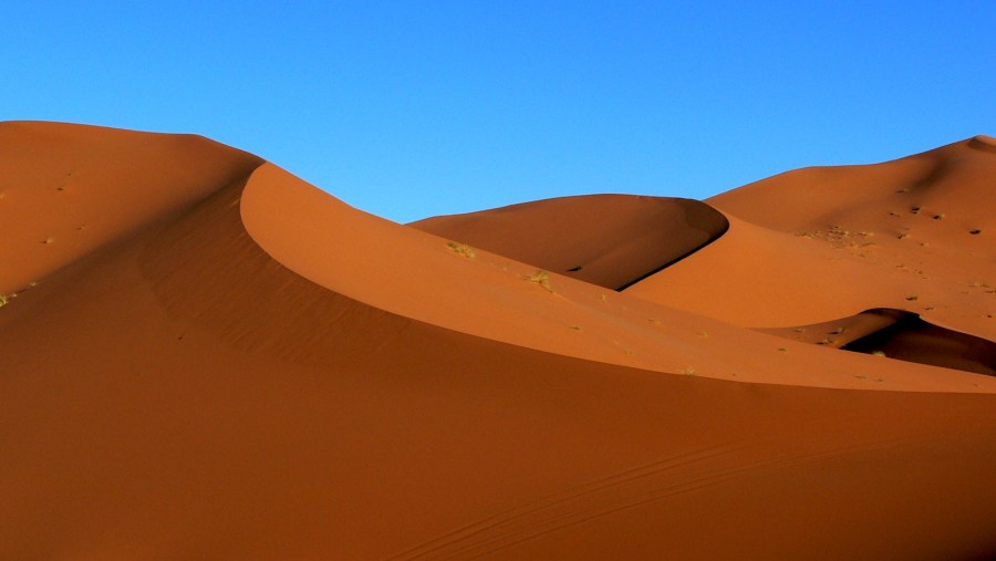 sahara