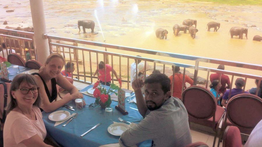 tea with a elephant bath