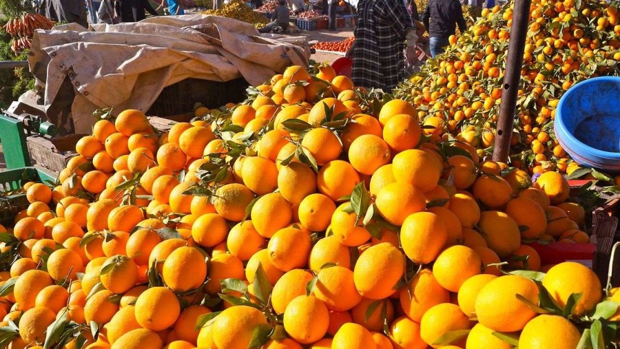 Orange Juice, Marrakech