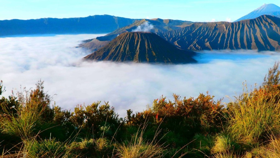 Bromo Volcano