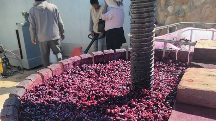 The Wine Route is the way to do the Valle de Guadalupe