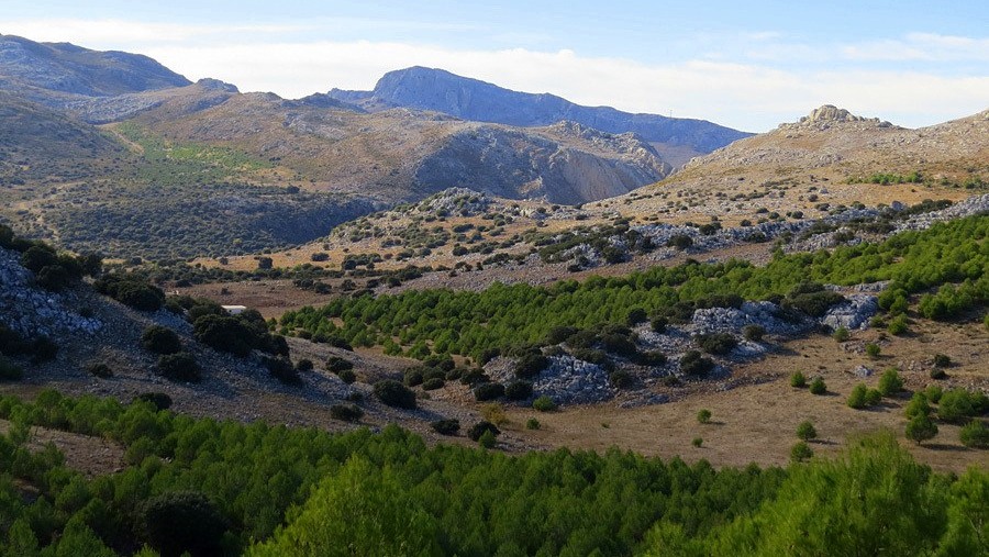 Sierra de las Nieves