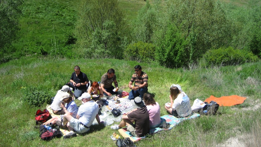 Picnic with my group