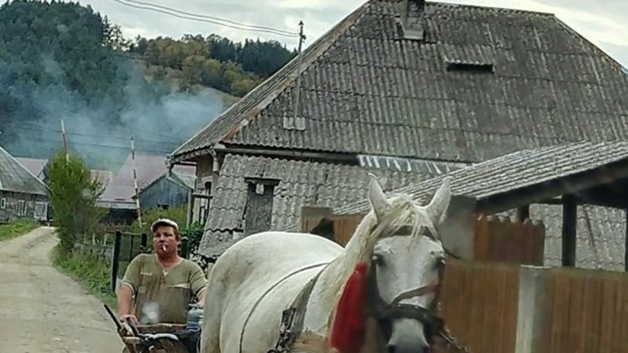 Countryside, slow living