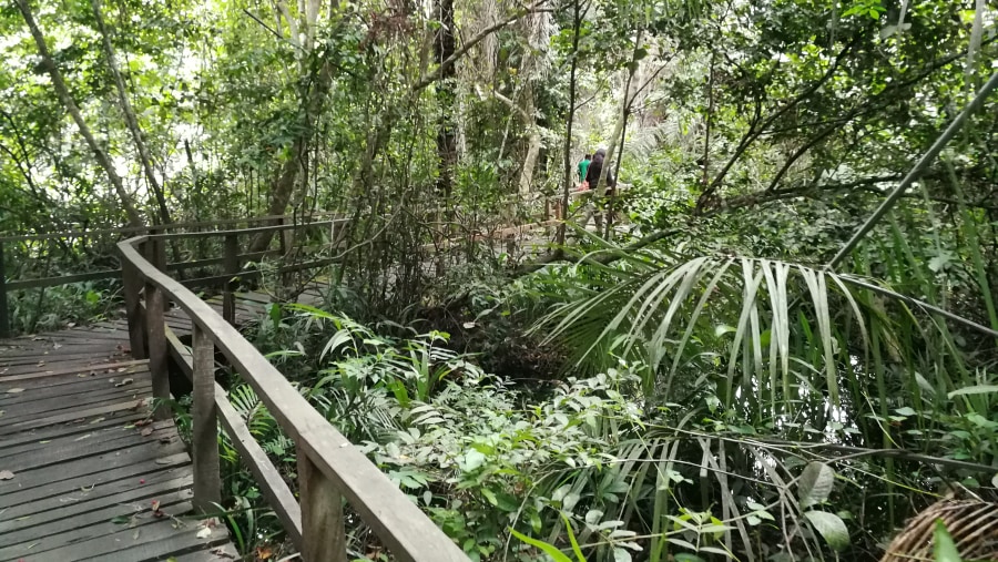 A unique 360 Degrees Experience of Nigeria - perfect for 1st Timers to Nigeria/Africa - super SAFE