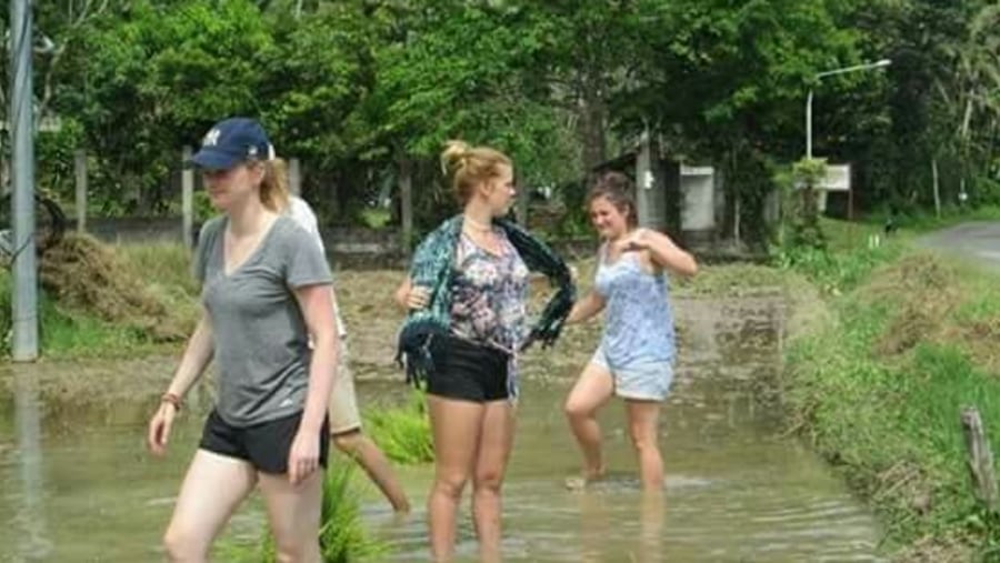 experiencing paddy cultivation