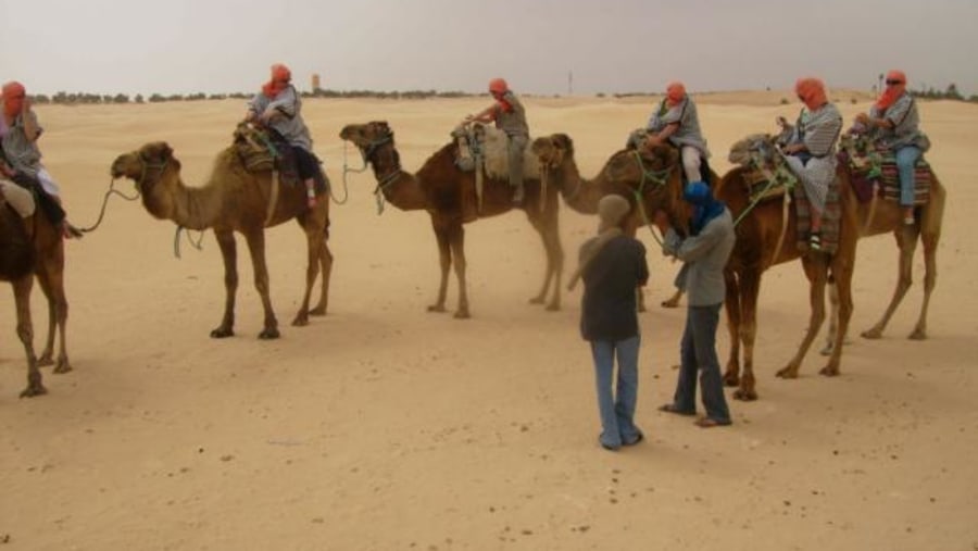 camels ride 