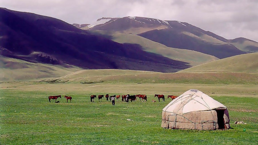 Kyrgyz House - Yurta, with a view to mountains