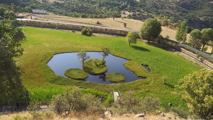 Floating Island