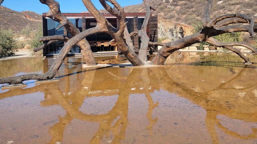 The Wine Route is the way to do the Valle de Guadalupe