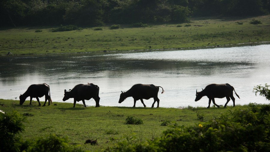 Memorable 9 days trip with excellent guide.