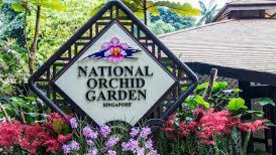 National Orchid Garden, nestled with the gronds of the UNESCO World Heritage site of Singapore Botanic Garden