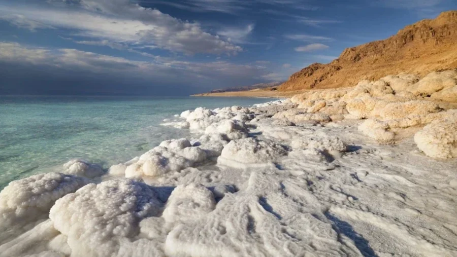 Dead Sea Tour With Hayat Enjoy Tours Muhannad Alsaudi 00962776677963