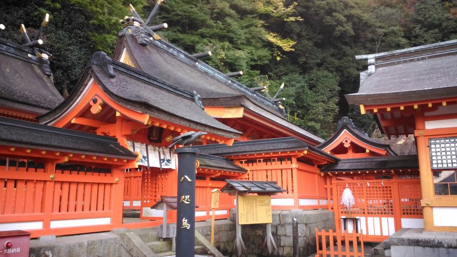 Nachi Taisha